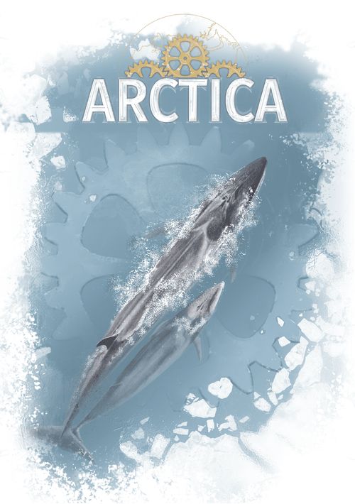 Arctica thumbnail