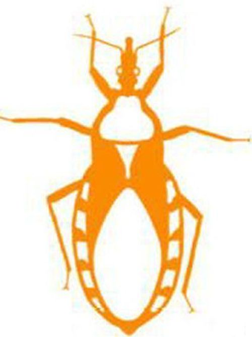 Assassin Bug (fan expansion for Hive) thumbnail