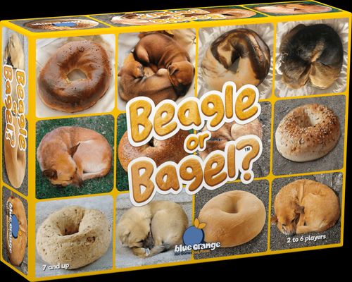 Beagle or Bagel? thumbnail