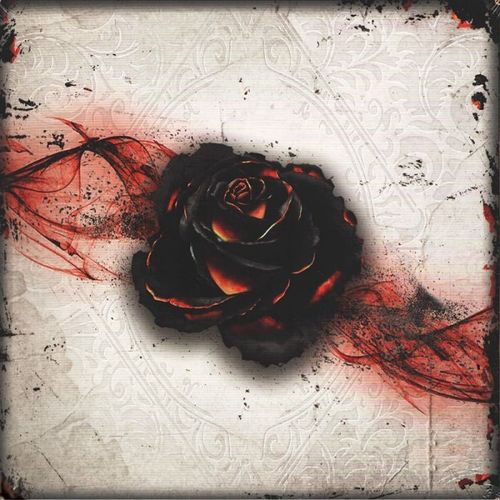 Black Rose Wars thumbnail