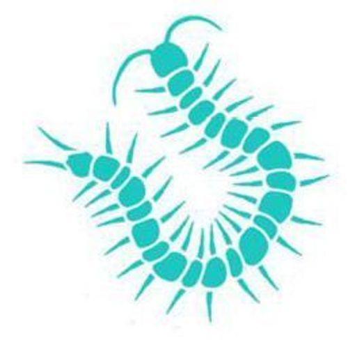 Centipede (fan expansion for Hive) thumbnail
