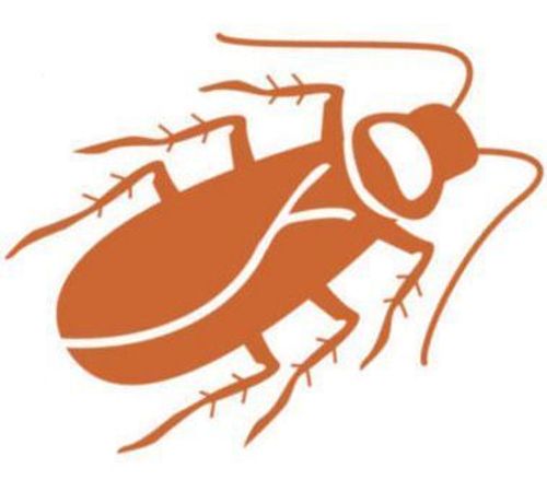 Cockroach (fan expansion for Hive) thumbnail
