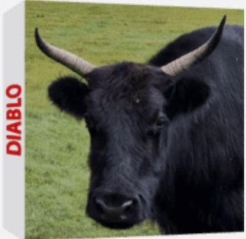 Diablo thumbnail