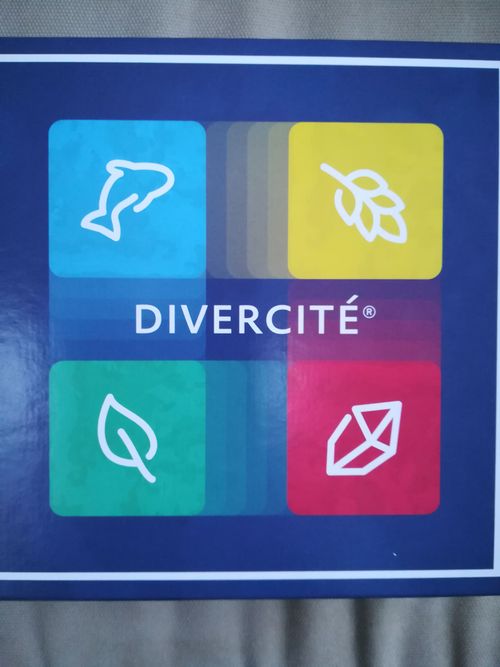 Divercité thumbnail
