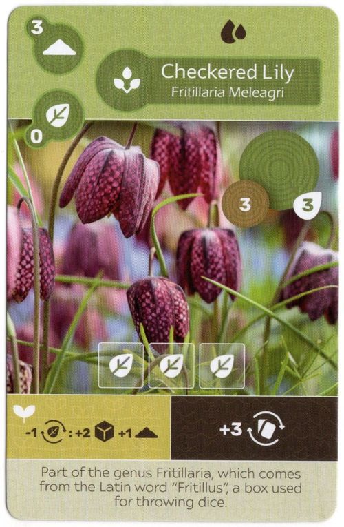 Earth: Checkered Lily Promo Card thumbnail