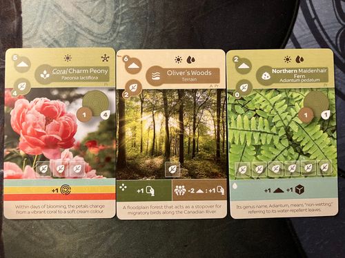 Earth: Gen Con Promo Pack 2 thumbnail