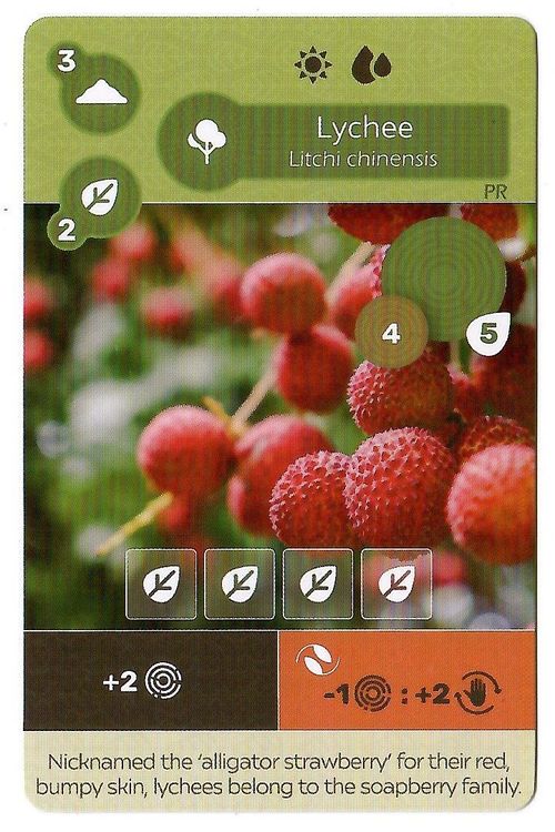 Earth: Lychee Promo Card thumbnail