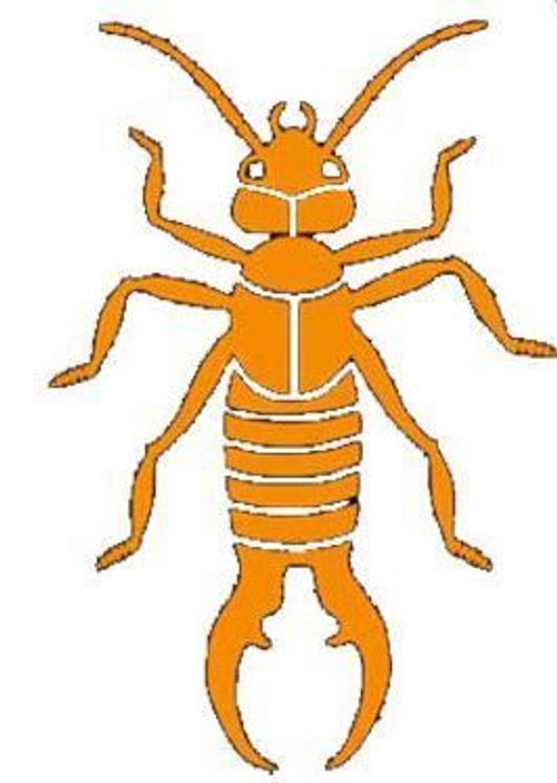 Earwig (fan expansion for Hive) thumbnail