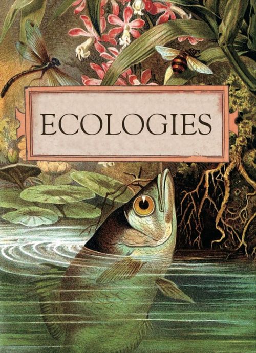 Ecologies thumbnail