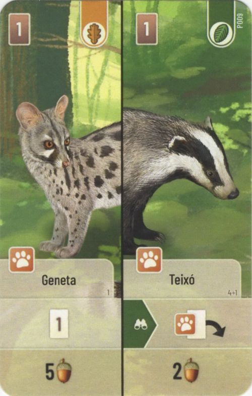 Embosca't: Geneta / Teixó Promo Card thumbnail