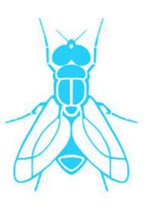 Fly (fan expansion for Hive) thumbnail