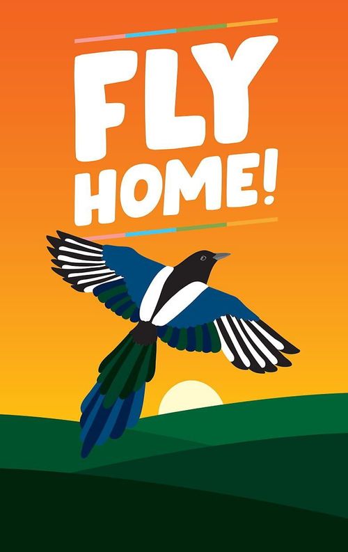 Fly Home! thumbnail