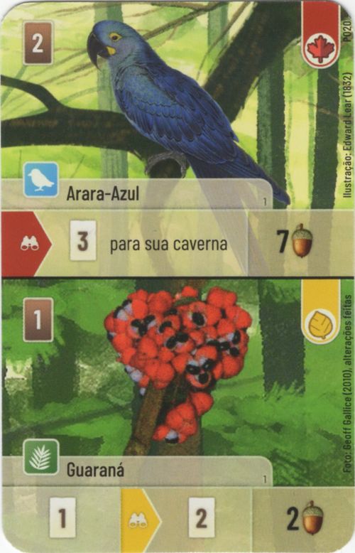 Forest Shuffle: Arara-Azul / Guaraná Promo Card thumbnail