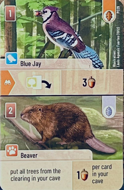 Forest Shuffle: Blue Jay / Beaver Promo Card thumbnail