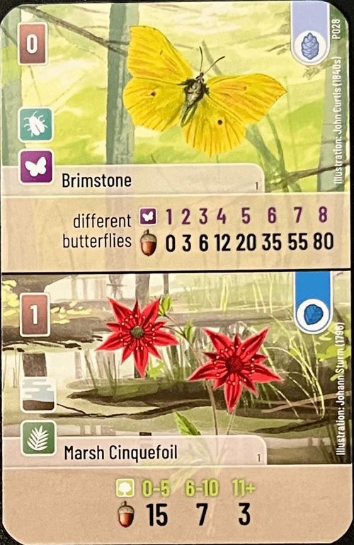 Forest Shuffle: Brimstone / Marsh Cinquefoil Promo Card thumbnail