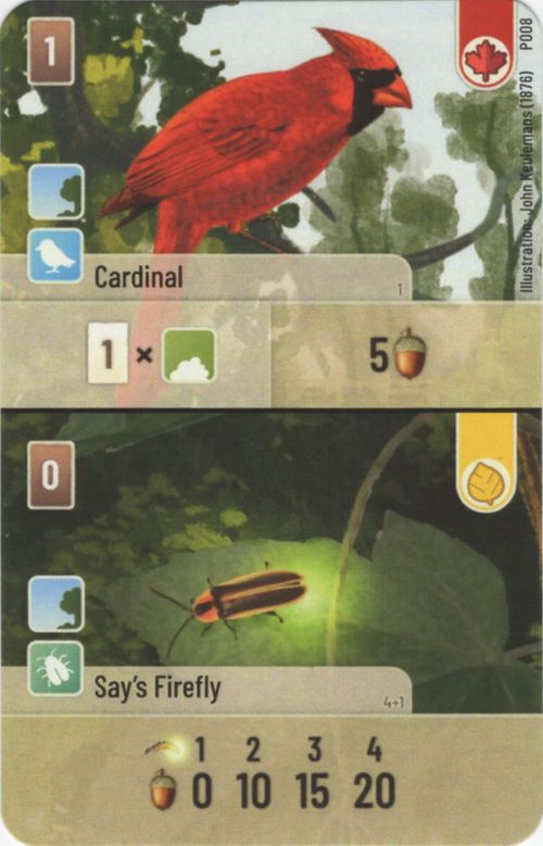 Forest Shuffle: Cardinal / Say's Firefly Promo Card thumbnail