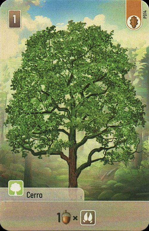 Forest Shuffle: Cerro Promo Card thumbnail