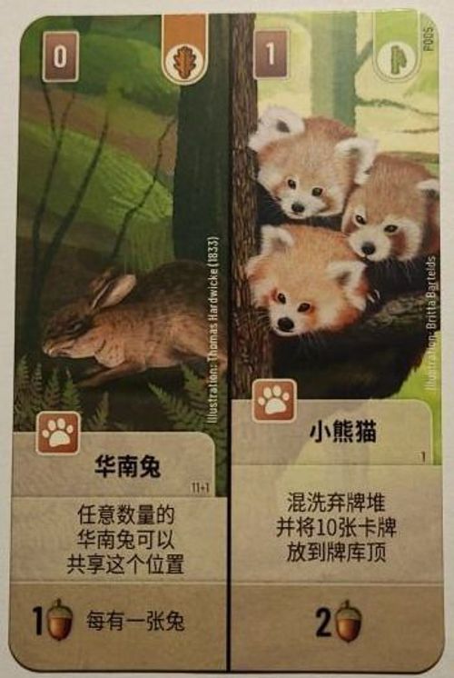 Forest Shuffle: Chinese Hare / Red Panda Promo Card thumbnail