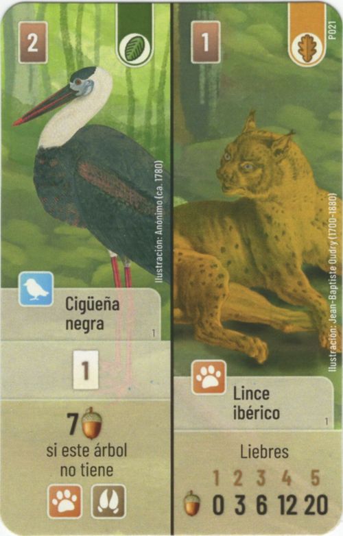 Forest Shuffle: Cigüeña negra / Lince ibérico Promo card thumbnail
