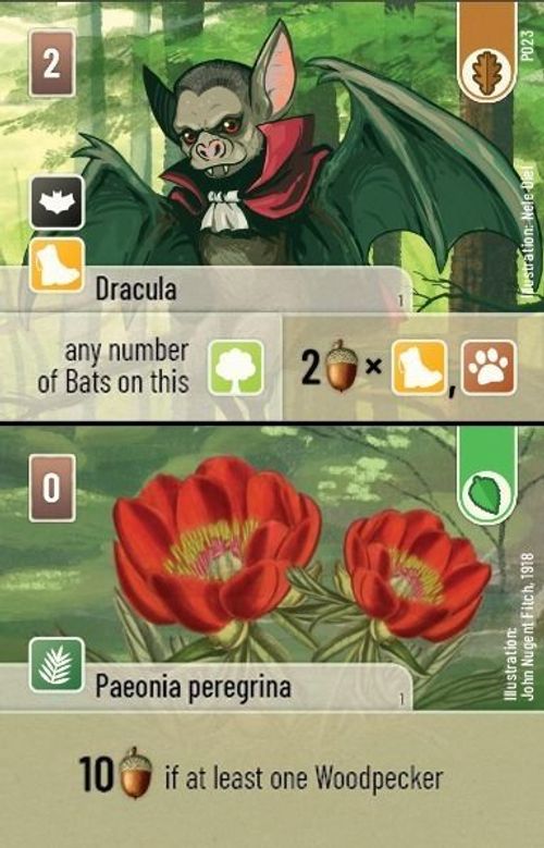Forest Shuffle: Dracula / Paeonia peregrina Promo Card thumbnail