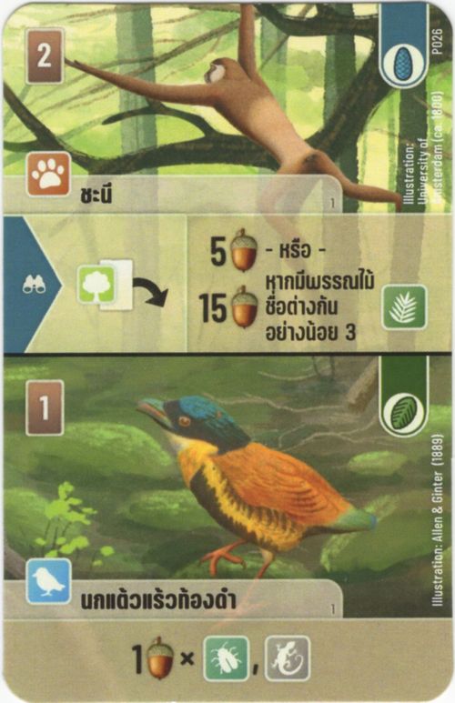 Forest Shuffle: Gibbon / Pitta Promo Card thumbnail