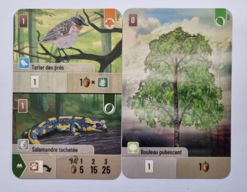 Forest Shuffle: Hobby Next Promo Cards thumbnail
