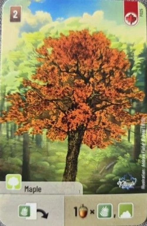 Forest Shuffle: Maple Promo Card thumbnail