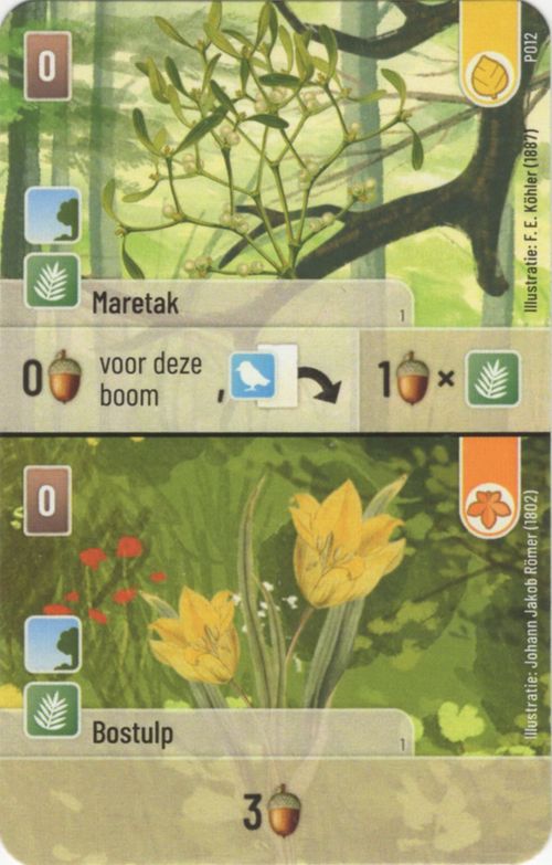 Forest Shuffle: Maretak / Bostulp Promo Card thumbnail