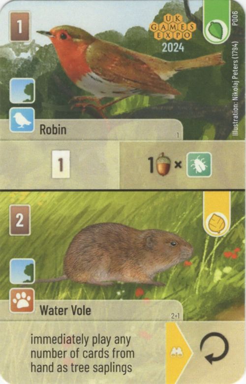 Forest Shuffle: Robin / Water Vole Promo Card thumbnail
