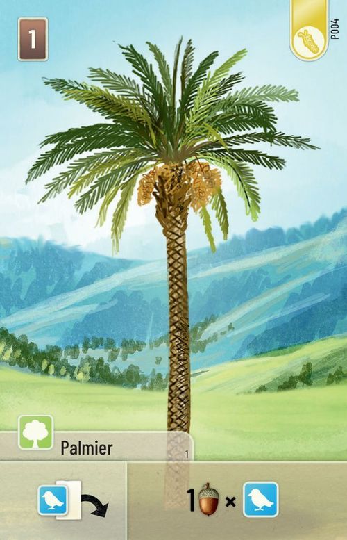 Forêt Mixte: Palmier Promo Card thumbnail