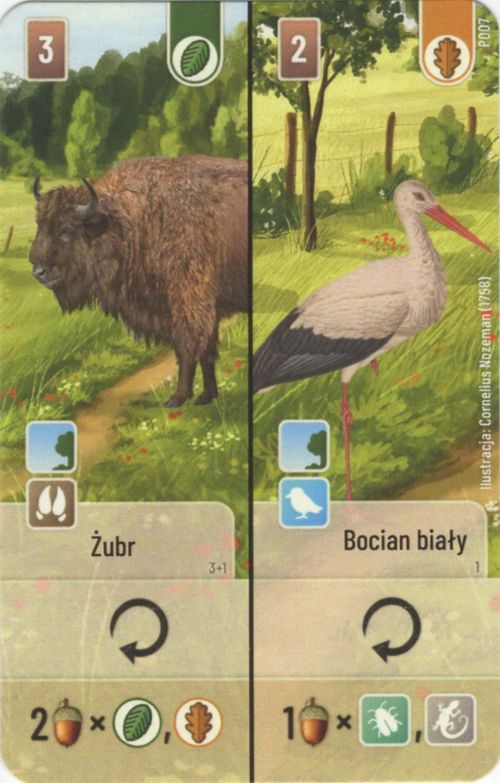 Leśne Rozdanie: Żubr / Bocian biały Promo Card thumbnail