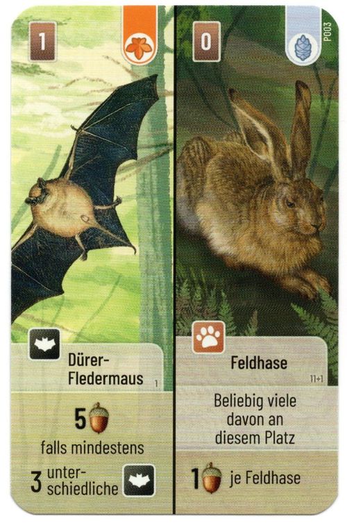 Mischwald: Dürer-Fledermaus / Feldhase Promokarte thumbnail