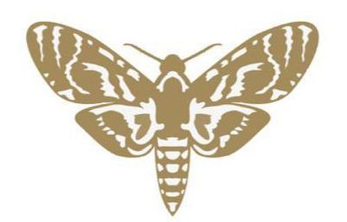 Moth (fan expansion for Hive) thumbnail