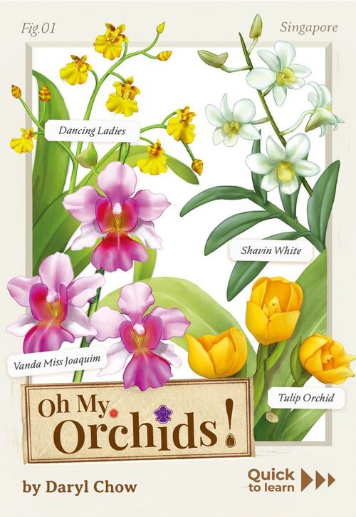 Oh My. Orchids! thumbnail