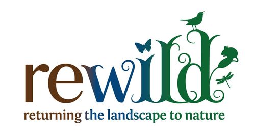 Rewild thumbnail