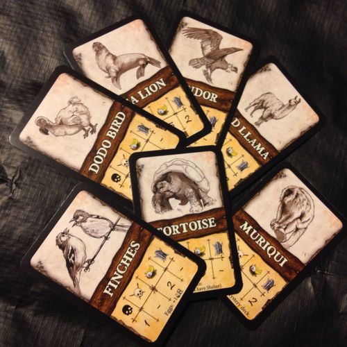 Robinson Crusoe: Adventures on the Cursed Island – Additional Beast Cards thumbnail