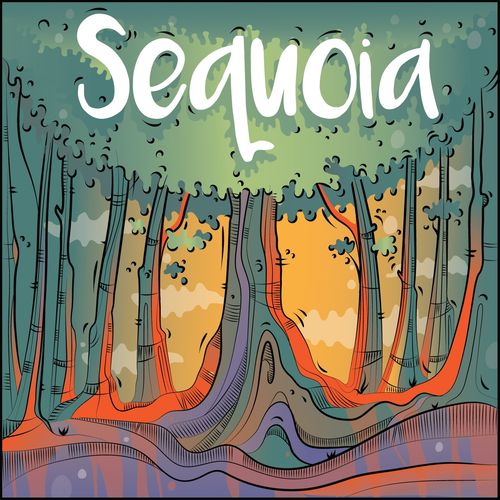 Sequoia thumbnail