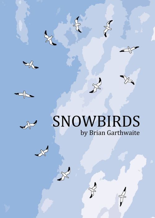 Snowbirds thumbnail