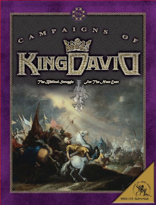 The Campaigns of King David: The Biblical Struggle for the Near East thumbnail