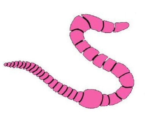 The Earthworm (fan expansion for Hive) thumbnail