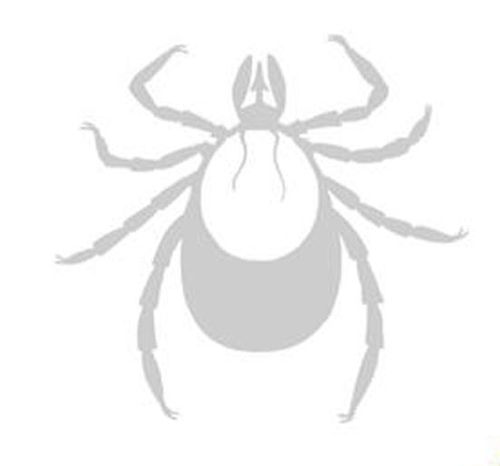 Tick (fan expansion for Hive) thumbnail